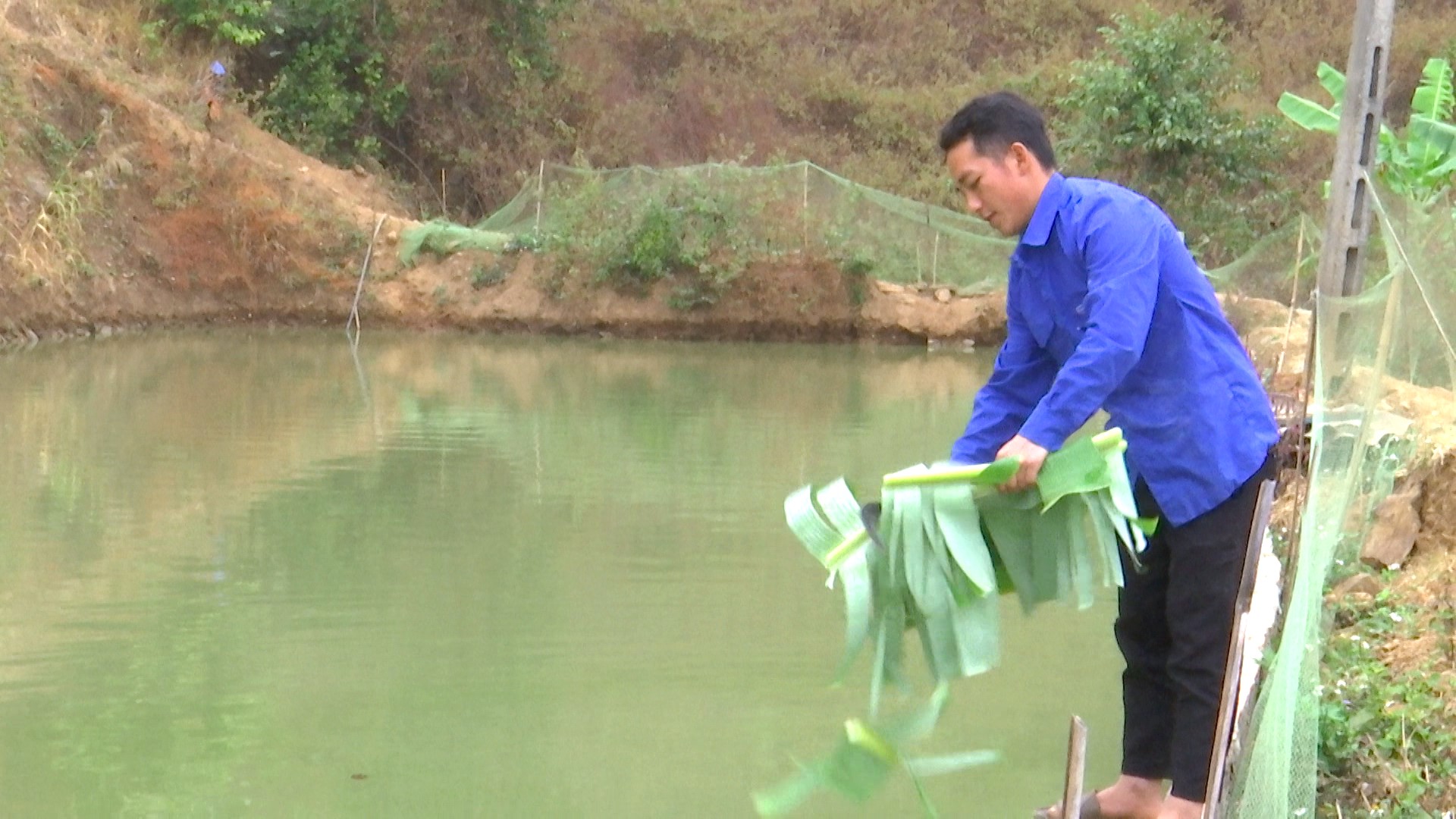 anh tin bai